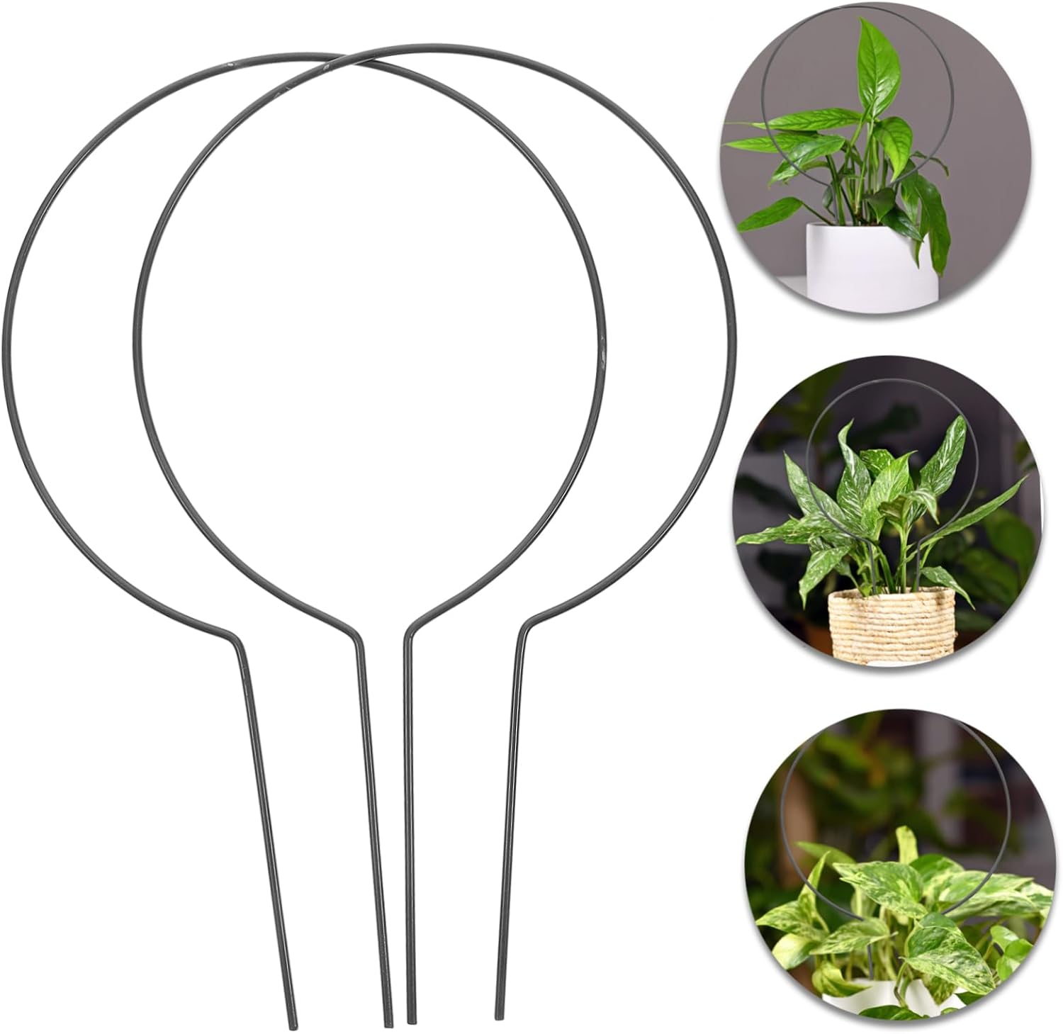 Plant Stand Garden Climber Plant Flower Climbing Flower Support Frame Iron Garden Trellis Iron Plant Support Potted Indoor Iron